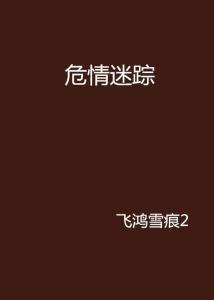 暗夜危途:迷踪中的生死博弈