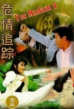 《危情追踪台版电影:悬疑与情感的完美交织》