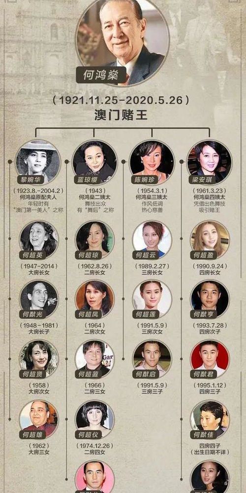 家庭纠纷调解实录:第二集在线免费观看指南