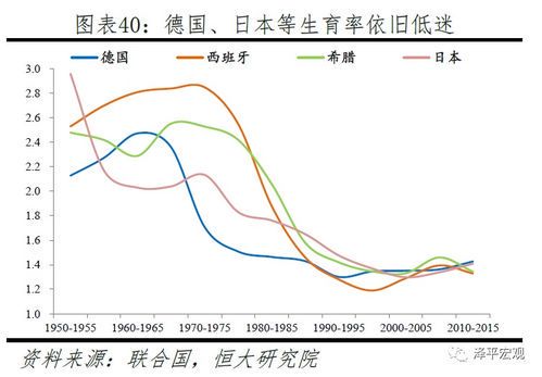 家庭事务的全面解析：涵盖哪些方面？