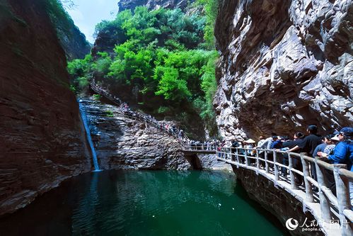 峡谷2025：自然奇观与未来探索