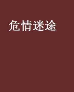 **危情迷途:一场心灵的自我救赎**