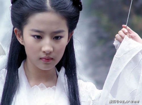 《神雕侠侣后传：龙女归隐录》