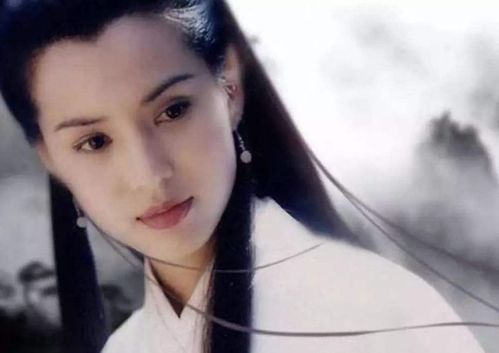 《小龙女别传之孽海别情:绝情谷外的红尘劫》