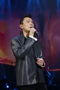 焚情原唱:一首歌背后的情感与故事