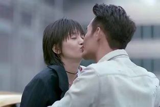 **焚情的含义与解读**