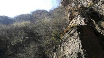 峡谷奇观：在线领略大自然的鬼斧神工