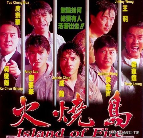 **火烧岛票房表现分析**