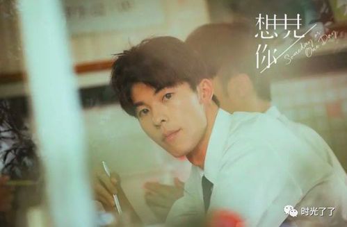 《想见你》主演阵容与角色解析