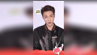 陈真:传奇武术家的生平与影响