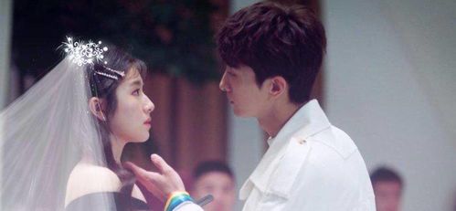 《青春皇家恋曲》男主角扮演者揭秘：新生代演员的华丽蜕变