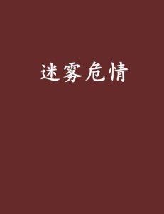 **危情迷雾：暗夜中的谜团与救赎**