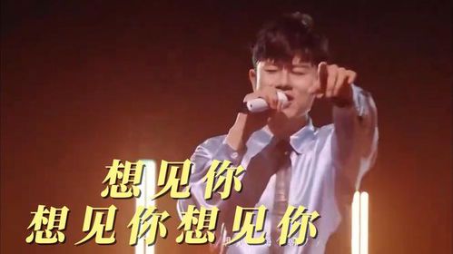 思念如潮，声声不息——张杰《想见你想见你想见你》的情感共鸣