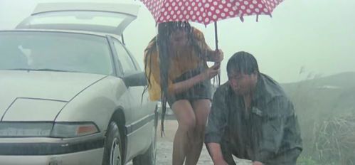 火烧岛奇遇:雨中爆胎惊魂记