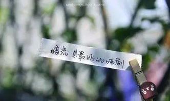 心跳的暗恋节拍