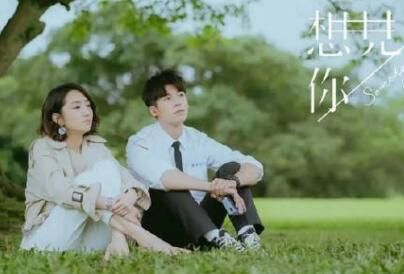 《想见你结局:穿越时空的爱与救赎》