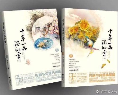 《十年一品温如言》背后的创作故事与作者探秘