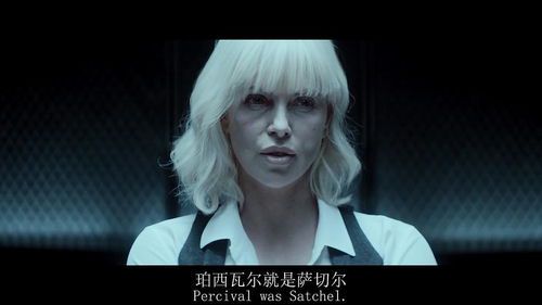 《极寒之城:暗战柏林的特工迷局》