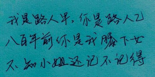 十年一品温如言：经典言情小说的魅力解析