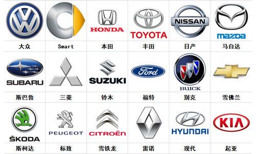 如何准确区分“标识”与“标示”