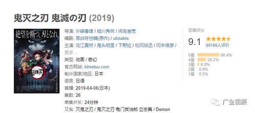 《极寒之城》豆瓣评分解析：一部被低估的冷硬派谍战佳作