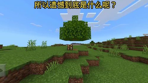 孤独星球