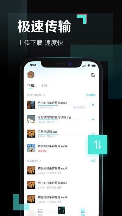 《青春皇家恋曲：云端珍藏的浪漫篇章》