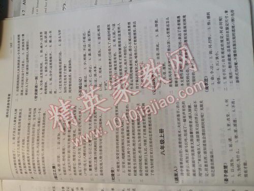 美食家的味蕾冒险：狩猎阅读与答题指南
