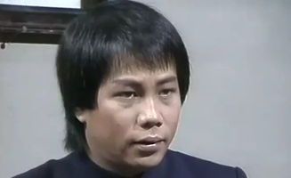 陈真影视作品演员全记录