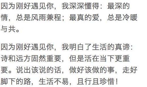最好的相遇