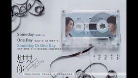 《小情歌：流淌在时光里的温柔絮语》