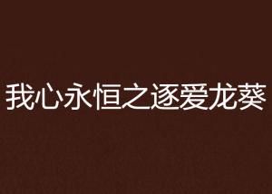 逐爱之心：爱情追逐中的成长与救赎