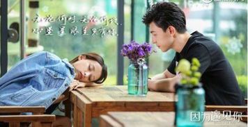 《遇见你之后:向园的爱情故事与免费观看指南》