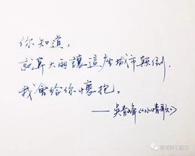 《小情歌的创作故事：一首温暖无数人心的经典之作》