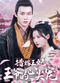 错嫁王妃:命运弄人的红妆劫