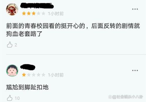 一周的朋友相处:真实评价与深度观察