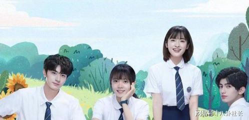 《一周的朋友》电视剧免费观看指南：剧情简介与正版平台推荐