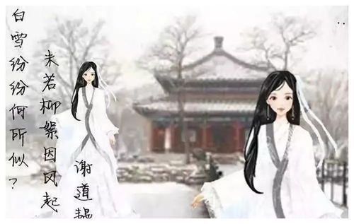 错嫁风起:何秋棠的浮生劫