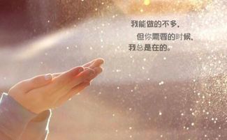 常见网络资源误区解析：如何正确获取合法内容