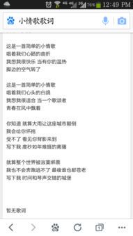《小情歌》歌词中的温柔与力量