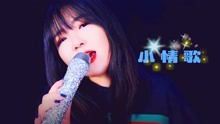 《小情歌》的原唱及其背后的音乐故事