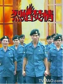焚情：爱恨交织的烈焰人生