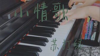 《小情歌伴奏完整版:旋律中的情感密码》