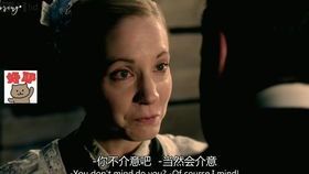 《唐顿庄园2国语版:经典英剧的华彩续章》