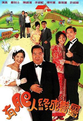 有肥人终成眷属电视剧全20集