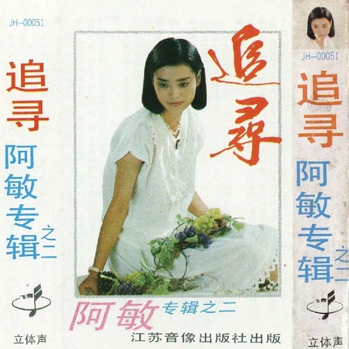 夏的季节歌词-毛阿敏