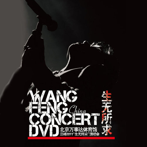 回忆之前忘记之后 (Live)歌词-汪峰