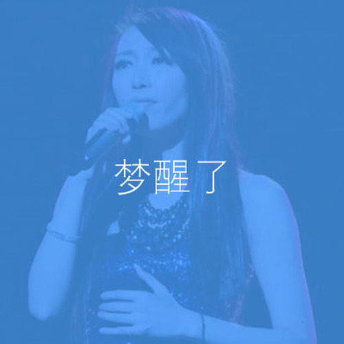 梦醒了歌词-金池
