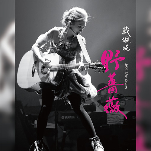 一个人的行李 (Live)歌词-戴佩妮