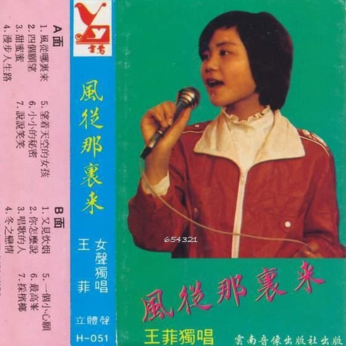 风从哪里来歌词-王菲